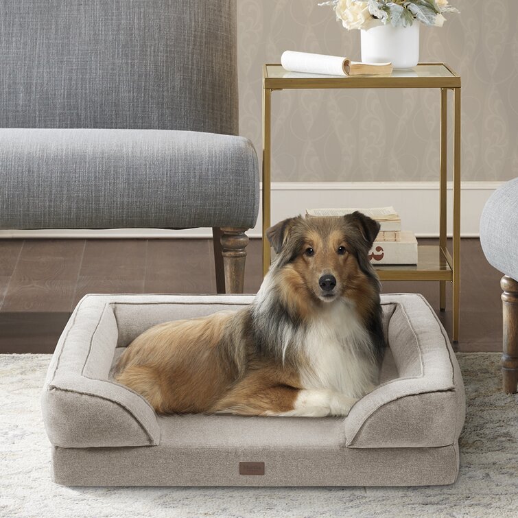 Best orthopedic bolster outlet dog bed